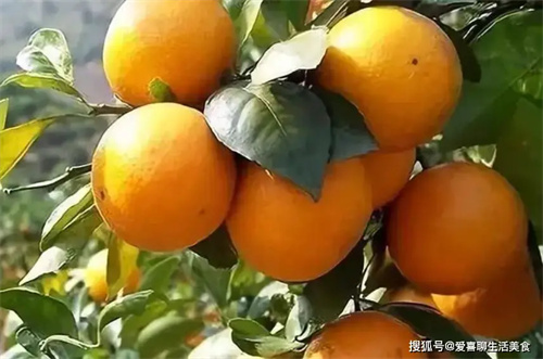 细节呈现