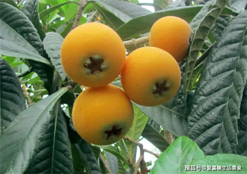 细节介绍