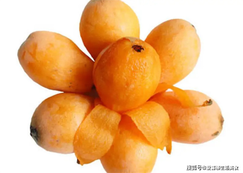 详细介绍