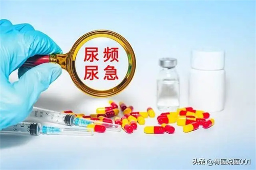 详细介绍
