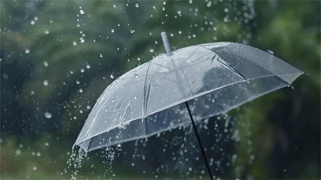 详细描述