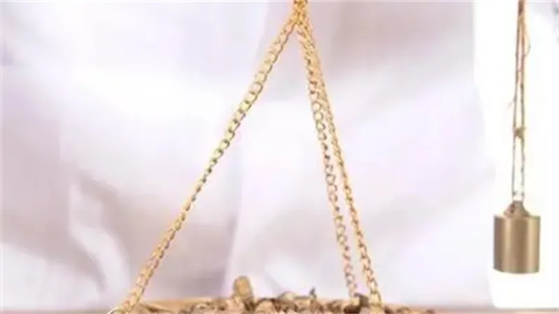 细节说明