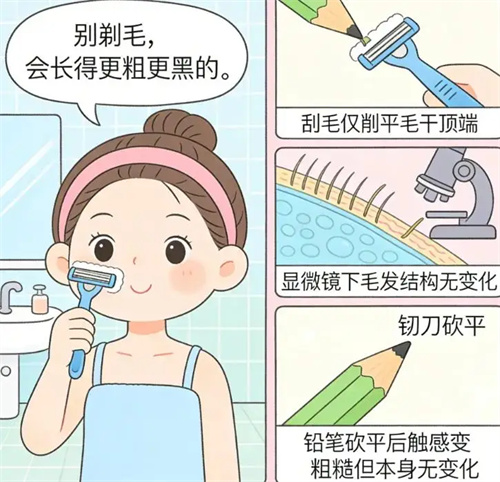 细节介绍