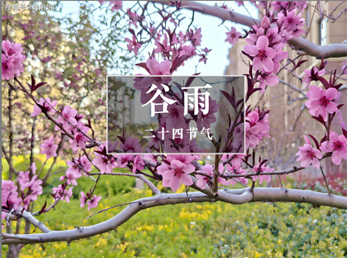 详细介绍