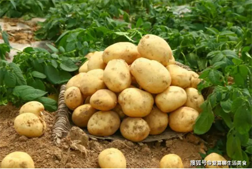 细节呈现