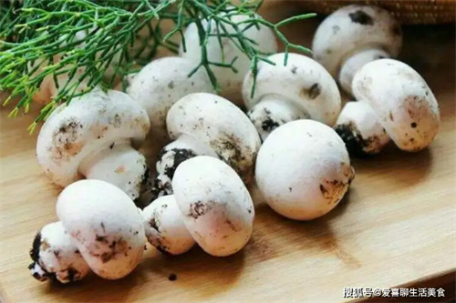 详细说明