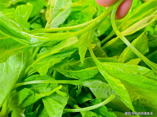 细节介绍