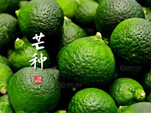 图片细节