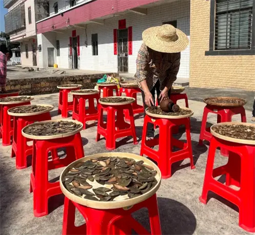 细节展示