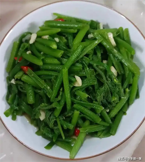 详细介绍