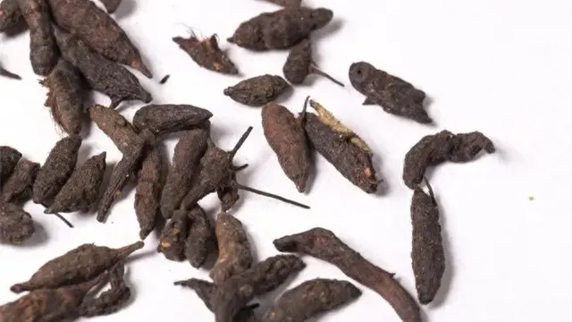 详细说明