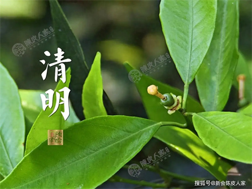 细节介绍