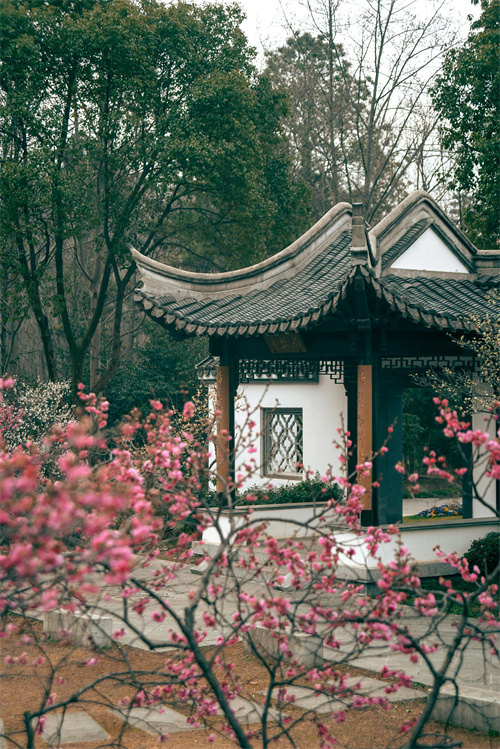 细节介绍