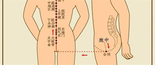 详细描述