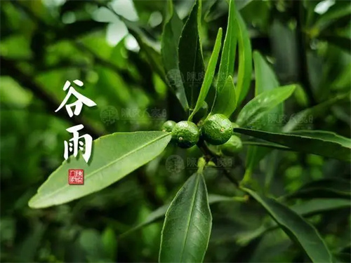 图片细节