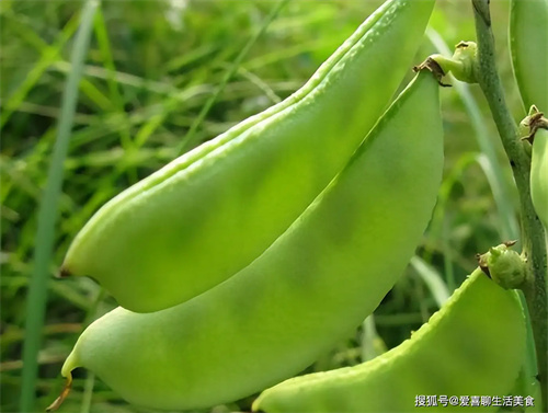 细节描述
