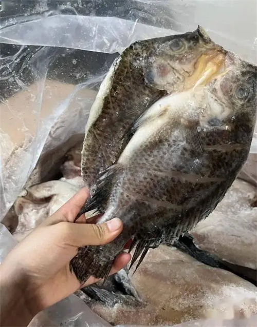 细节说明