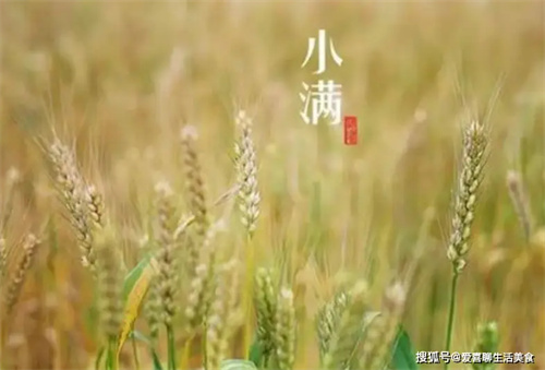 详细描述