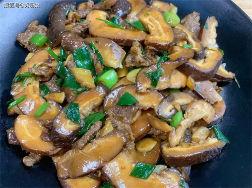 详细介绍